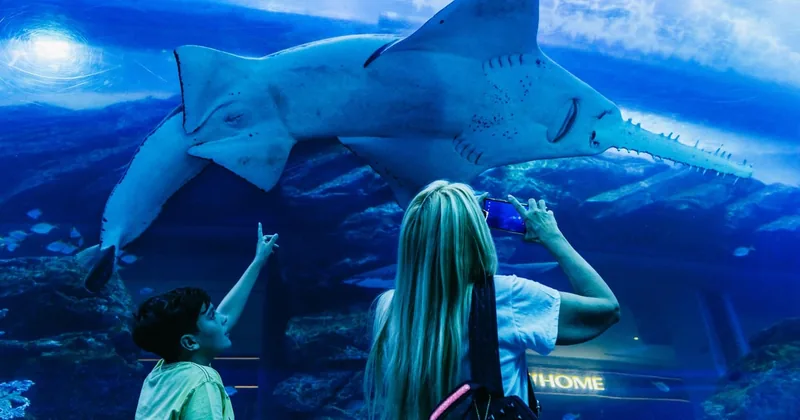 Kombi Dubai Aquarium & At the Top